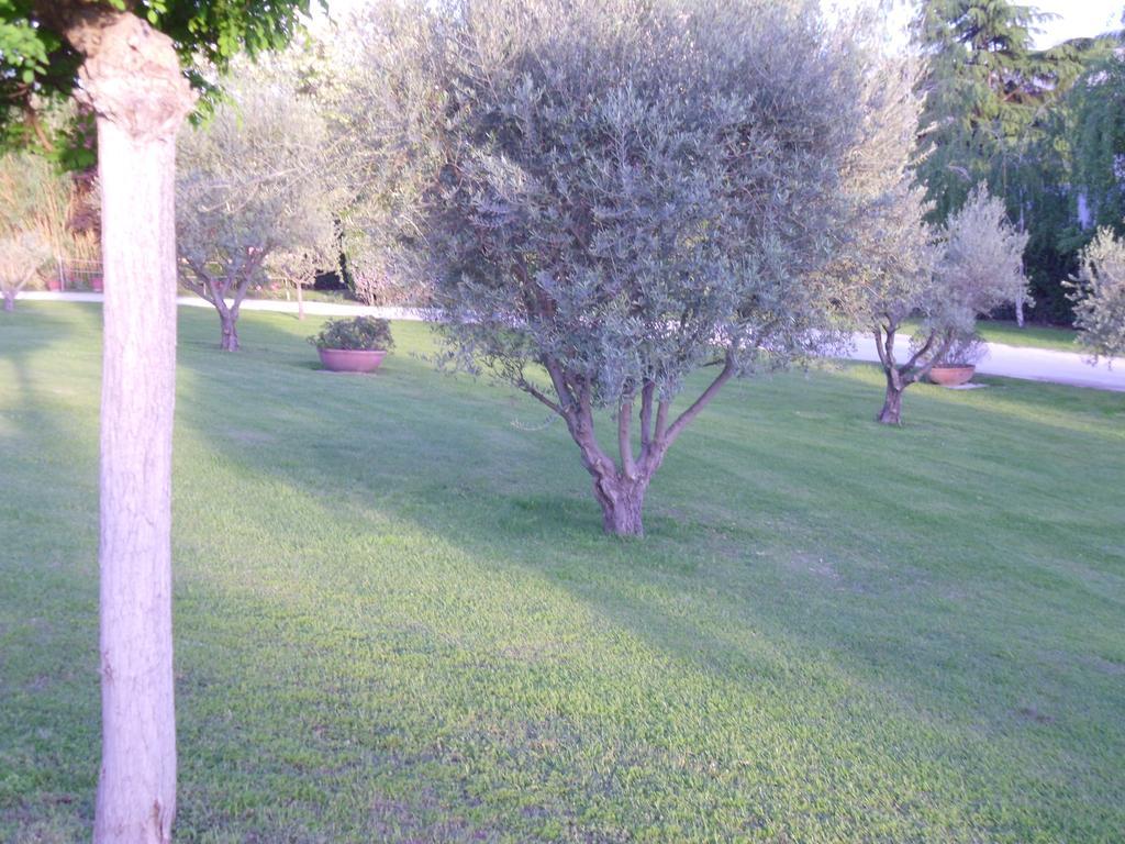 Luxardotel Roma Dış mekan fotoğraf