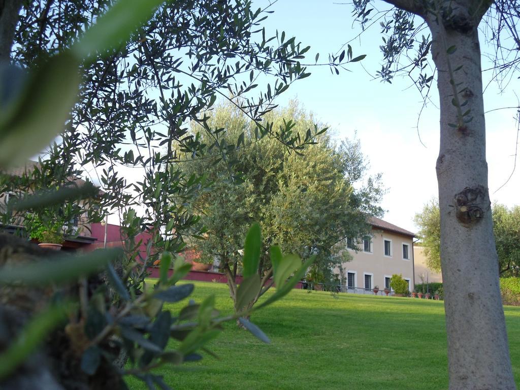 Luxardotel Roma Dış mekan fotoğraf