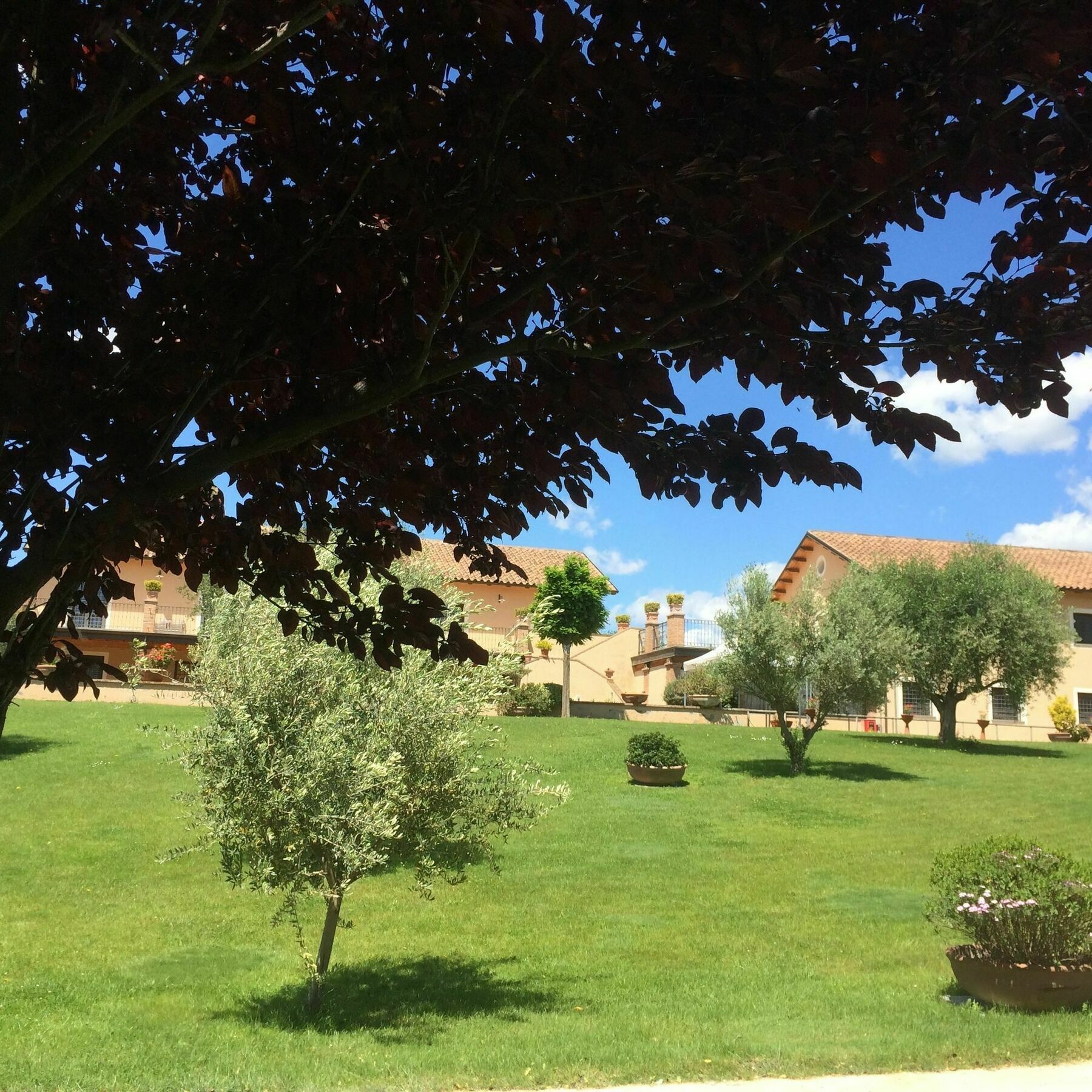 Luxardotel Roma Dış mekan fotoğraf